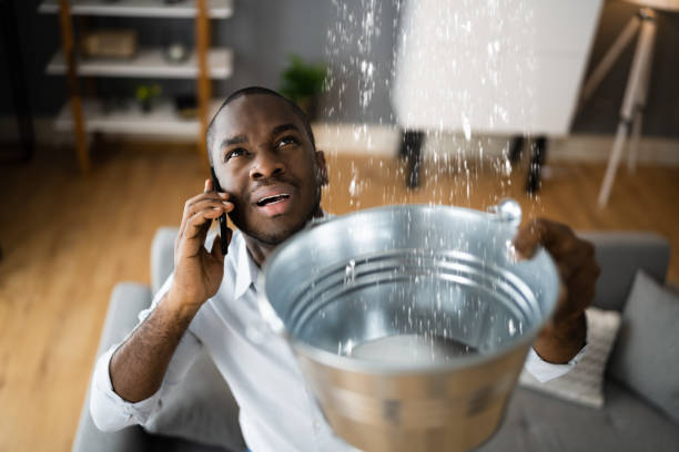 Best Flood restoration services  in Dove Valley, CO