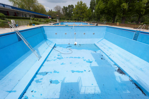 Best Mold removal after water damage  in Dove Valley, CO