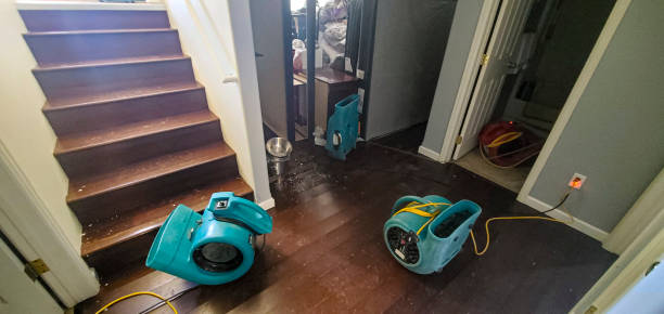 Best Water damage restoration process  in Dove Valley, CO
