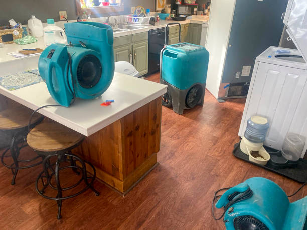 Best Local water damage restoration  in Dove Valley, CO