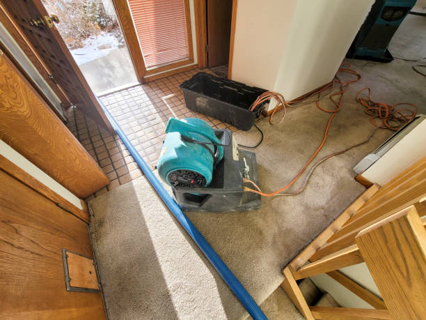 Best Emergency water damage restoration  in Dove Valley, CO