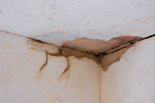  Dove Valley, CO Water damage restoration Pros
