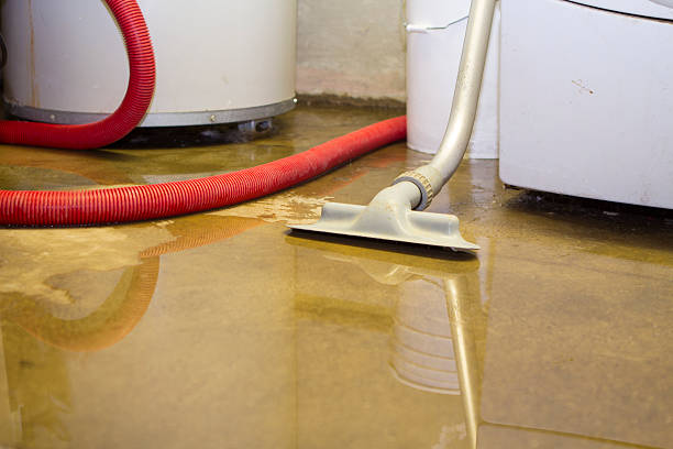 Best Commercial water damage restoration  in Dove Valley, CO
