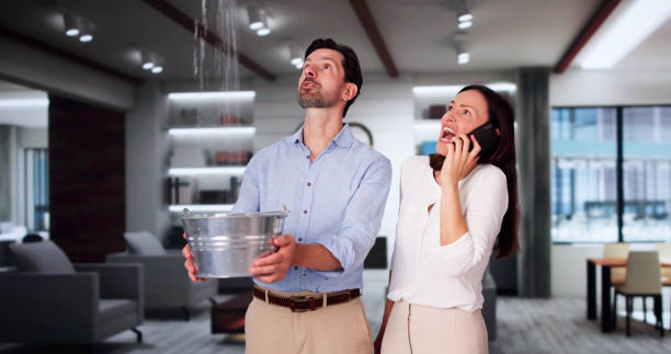 Best 24/7 water damage repair  in Dove Valley, CO