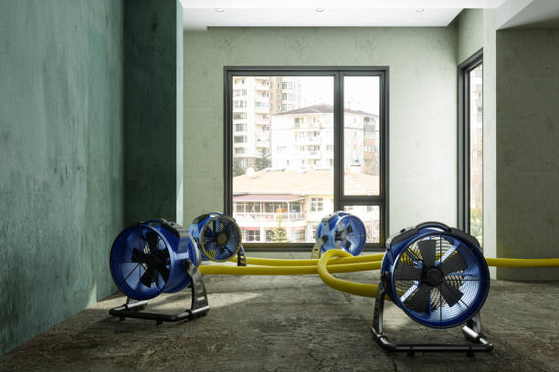 Best Water damage contractors near me  in Dove Valley, CO